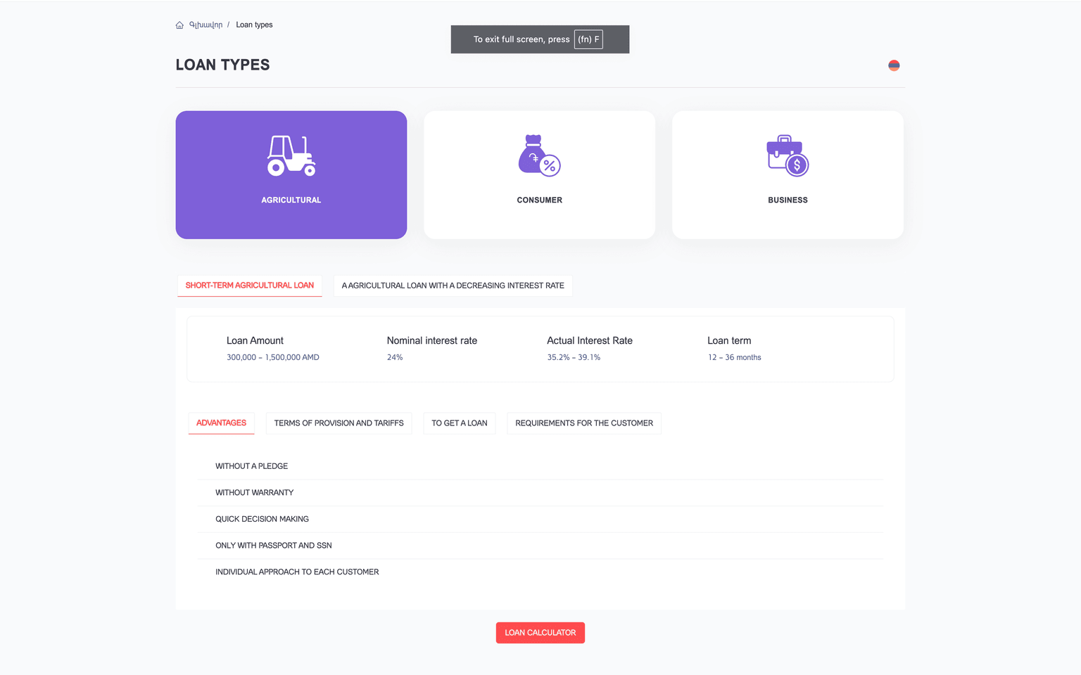 Screenshot of the Ayo Credit loan types page